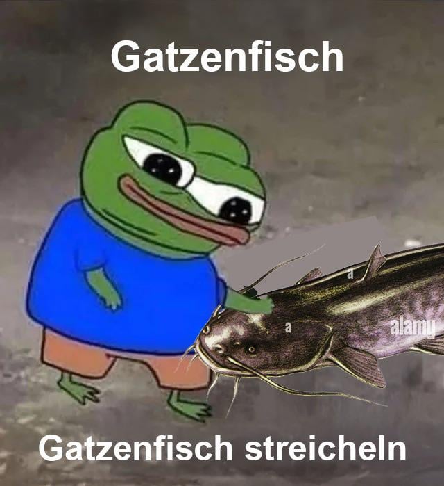 Ich🐈🐟iel