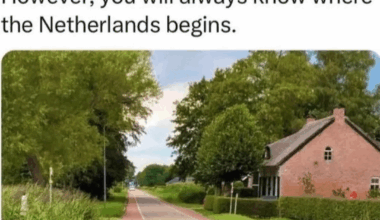 True