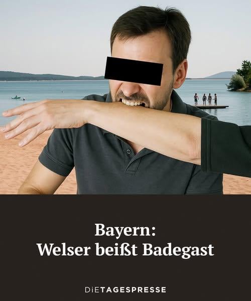 Schon wieder Wels