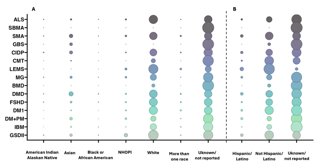 The vast majority of patients in neuromuscular clinical trials are white, not hispanic or latino, middle-aged men. Men are overrepresented even in certain diseases that more often affect women. doi.org/10.1007/s00415-025-13208-8