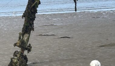Unusual Items on Howth Beach