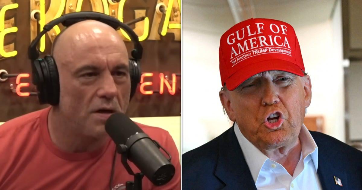 Joe Rogan Unleashes On Trump's 'Insane' ICE Raids