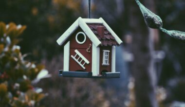Romania Among Most Affordable Real Estate Markets in Europe