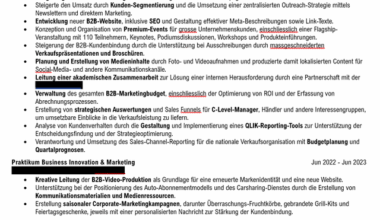 Roast my CV - Finde keinen Job trotz guter Erfahrung und Master