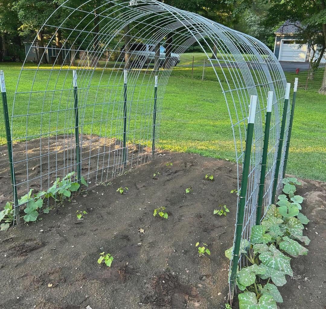 Where can I buy cattle panels (sturdy galvanized wire fence panel) for building arched trellis in the garden
