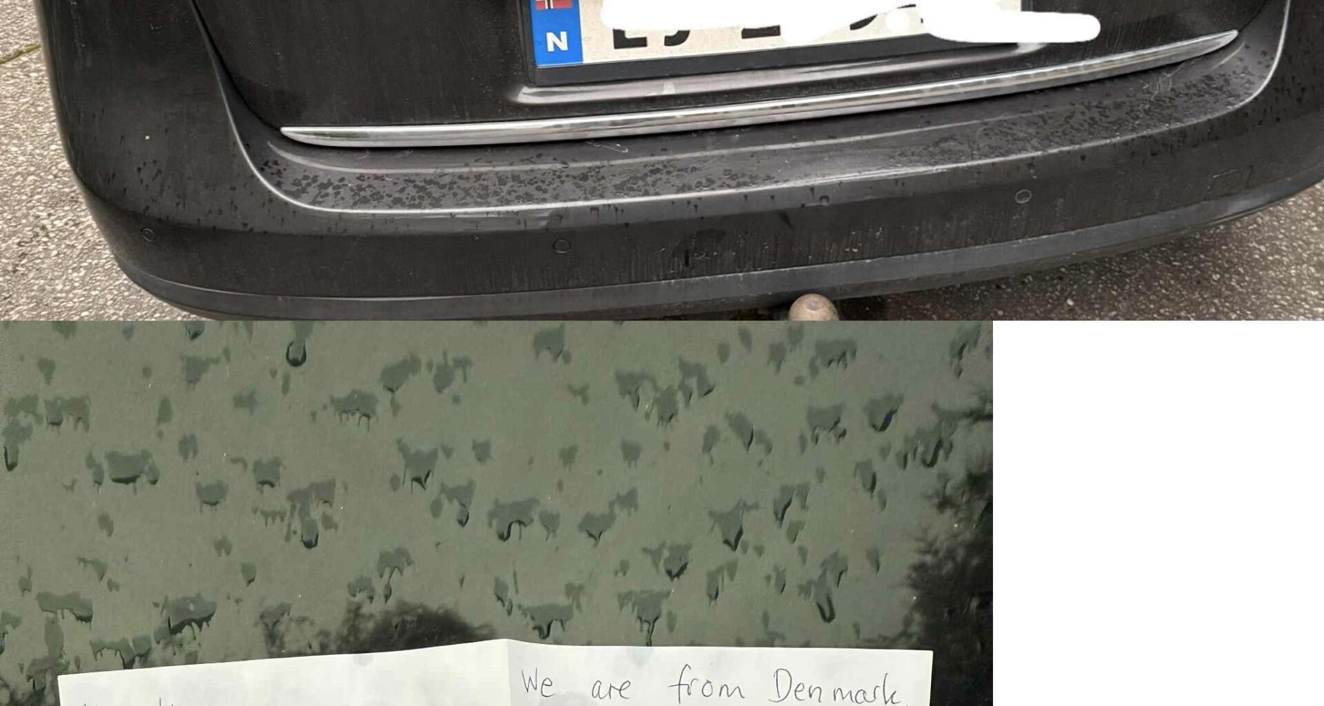 Someone did hit n run, while we were camping and left this, what should we do?