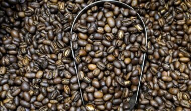 Arabica coffee beans at a coffee roastery in Banda Aceh