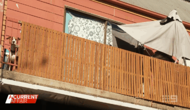 Call for animal welfare law overhaul as second dog captured pacing cramped balcony
