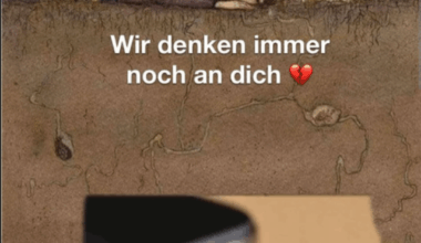 Ich🤔iel