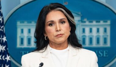 Gabbard Is Lying About Obama and Russian Intel: Top CIA Officer