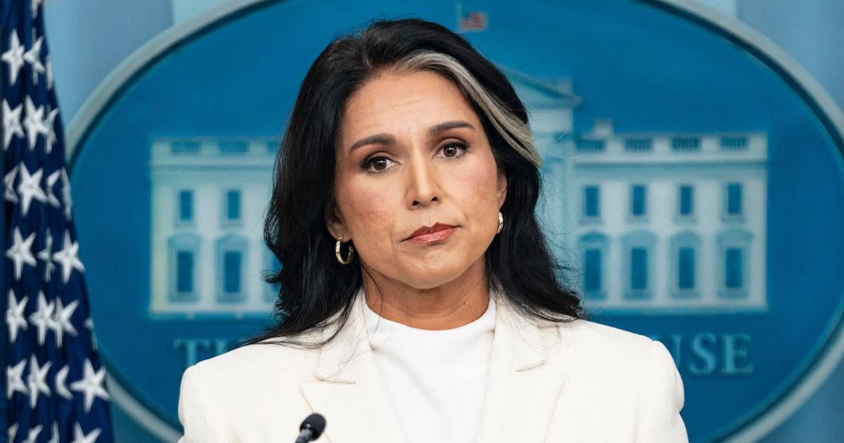Gabbard Is Lying About Obama and Russian Intel: Top CIA Officer