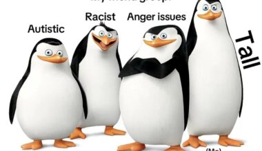 Which 2we4u user are you?