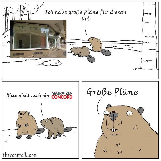 Ich🛏iel