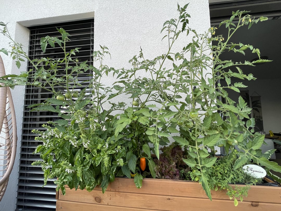 Neue Lieblings Aussicht