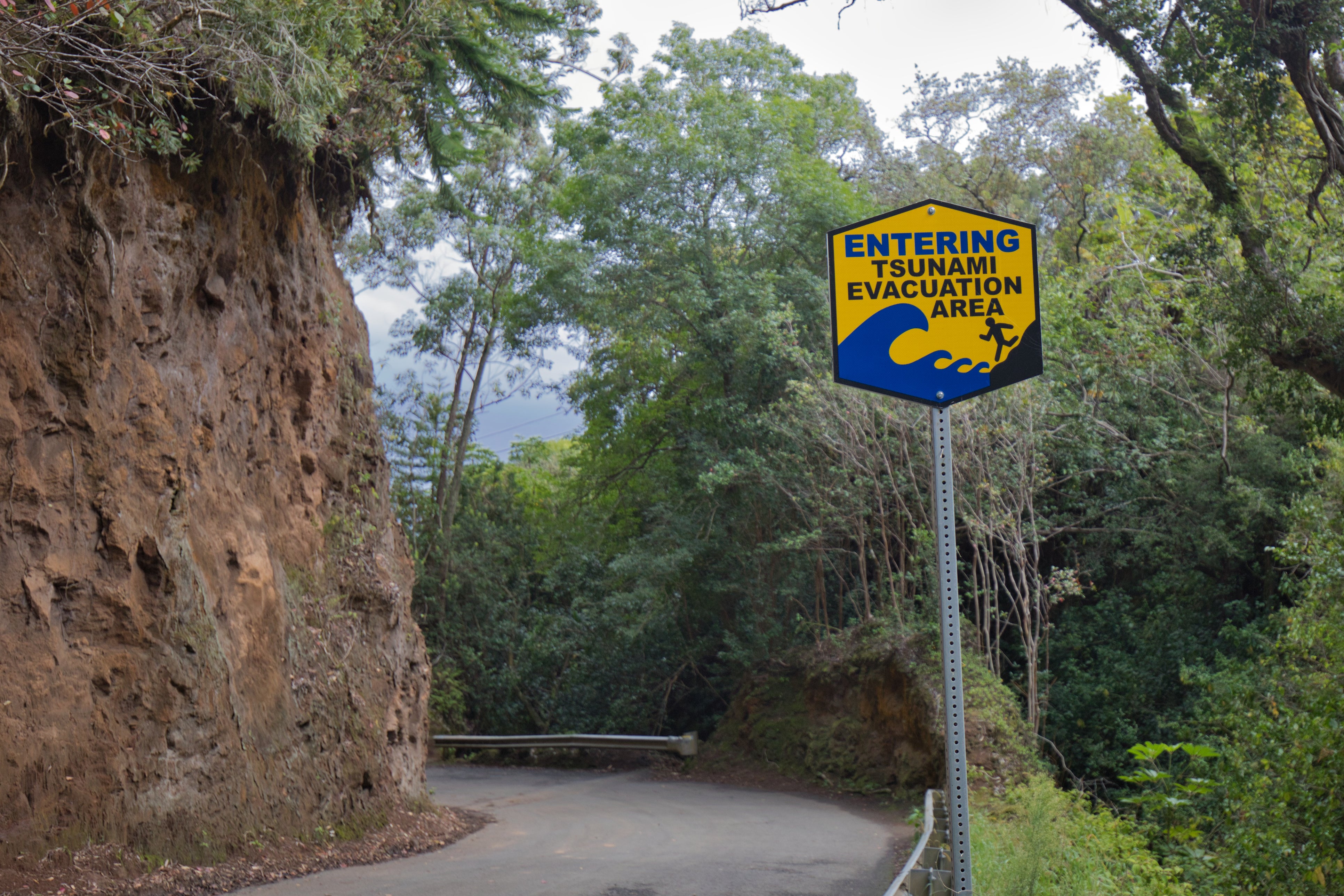 A tsunami evacuation area sign along a winding road in Waipio Valley, Big Island, Hawaii