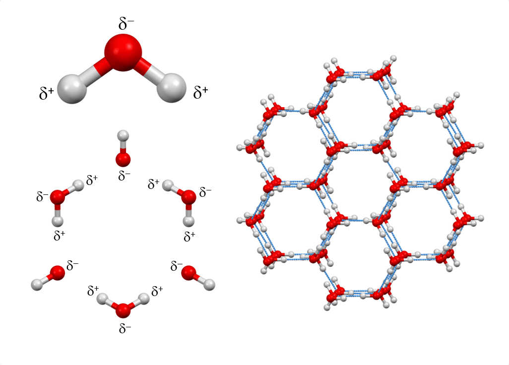 A diagram of the molecular structure of ice.