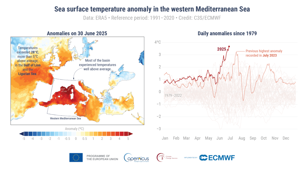 Daily sea surface temperature anomaly (°C) on June 30, 2025, the peak of a marine heatwave in the western Mediterranean Sea.