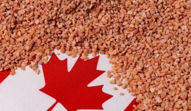 Mosaic Thrives On Strong Fertilizer Prices, But Trade War Fears Persist (NYSE:MOS)
