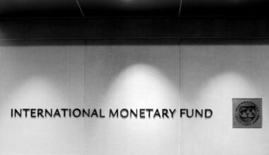 Emblem of the International Monetary Fund (IMF) displayed at its headquarters in Washington, DC, June 4, 2018. (Adobe Stock Photo)
