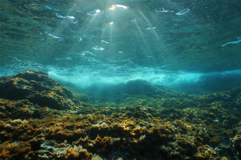Mysterious sand structures in the sea off Norway are changing the way we think about geology