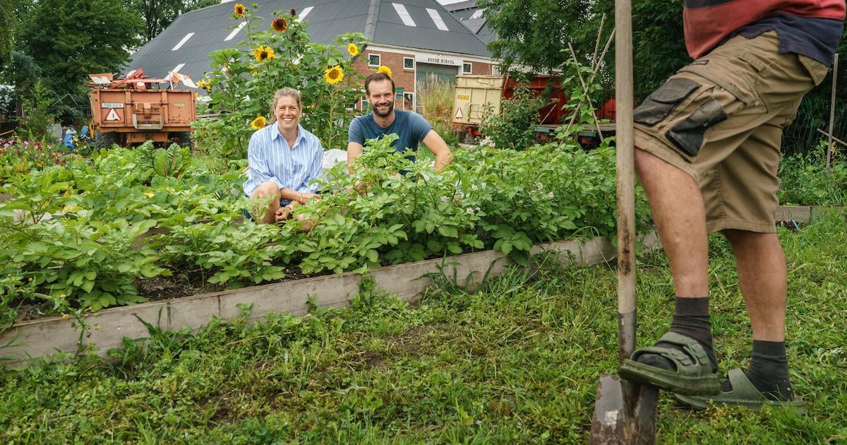 Deze boeren gooien het roer om: ‘Kan het ook op een andere manier?’