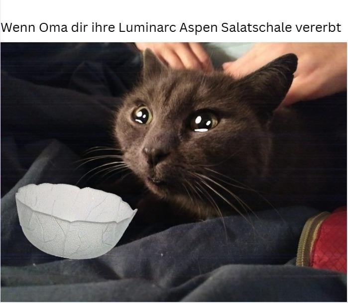 ich🥹iel