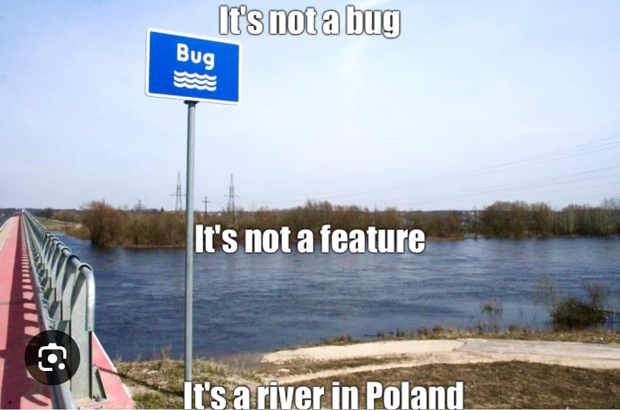 Programmers beware, or the joys of the Polish language, part 49