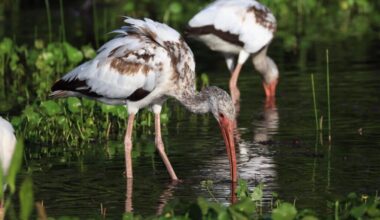 Humans Are Wiping Out Water Bodies That Life Depends On, New Report Says / Wetlands feed billions of people, play a crucial role in replenishing drinking water, mitigate climate change and protect communities from intense storms and flooding
#GlobalCarbonFeeAndDividendPetition