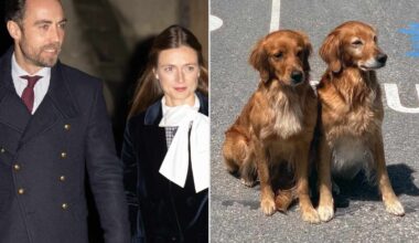 James Middleton's Family Vacation Photo Hints at Childhood with Kate Middleton