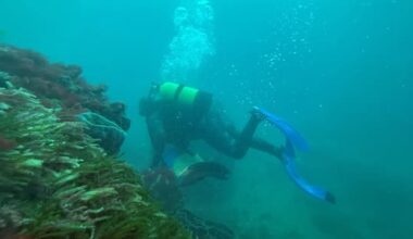 'I didn't think seabed mining bid would get this far' — dive leader
