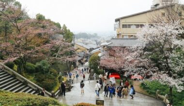 Discover the Best of Japan and South Korea with Bamba Travel’s New Flexible Itineraries: Personalized Options for Accommodation, Activities, and Transport