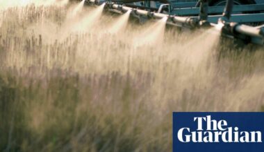 Weedkiller ingredient widely used in US can damage organs and gut bacteria, research shows | Herbicides | The Guardian
