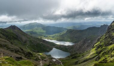 What do people think of heavily reforesting snowdonia?