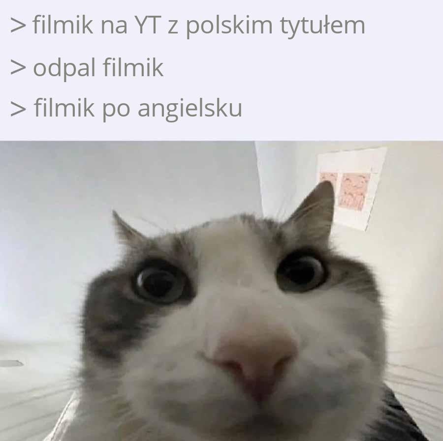Dlaczego YouTube taki jest?