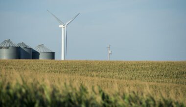 How wind and solar power helps keep America’s farms alive