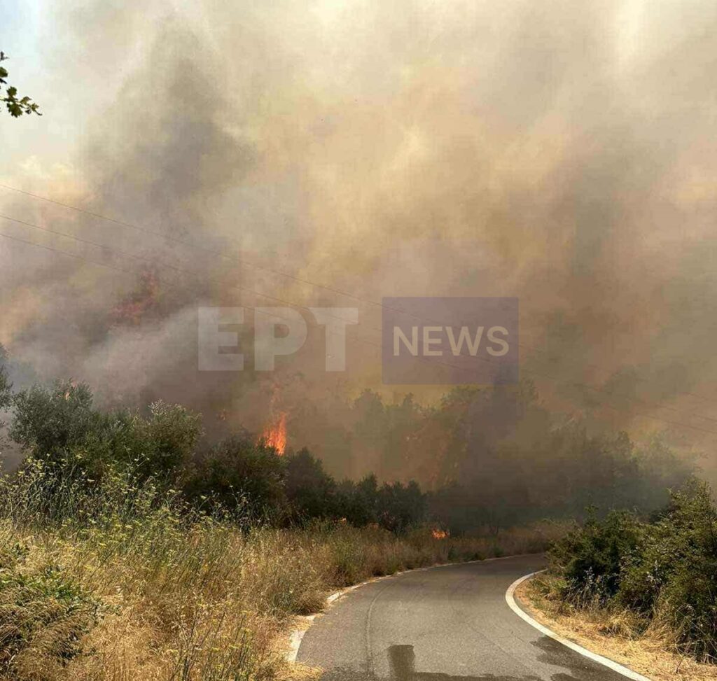 Μεσσηνία: Νέα αναζωπύρωση στην Πολυθέα Τριφυλίας  – Μαίνεται η φωτιά (βίντεο)