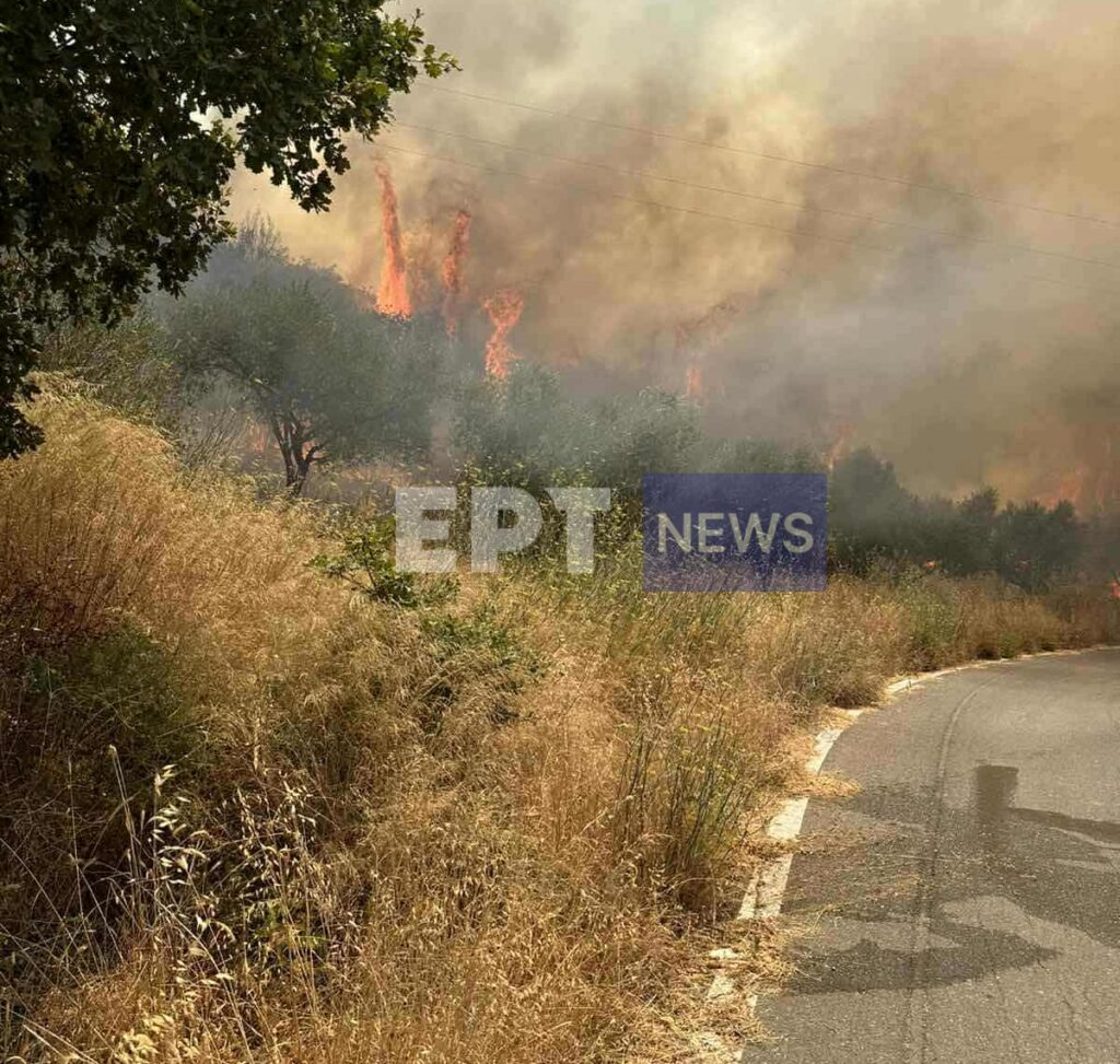 Μεσσηνία: Νέα αναζωπύρωση στην Πολυθέα Τριφυλίας  – Μαίνεται η φωτιά (βίντεο)