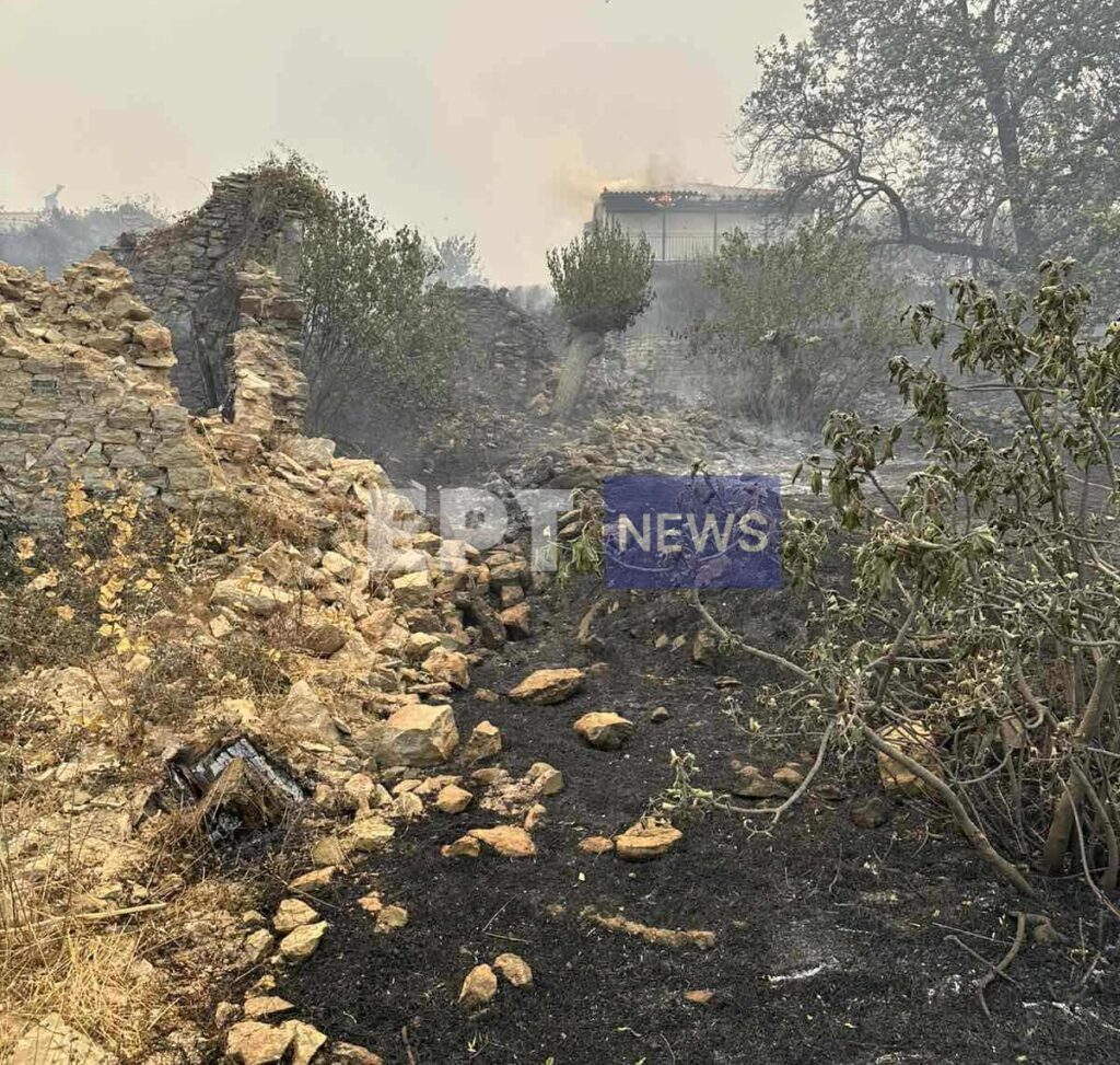 Μεσσηνία: Νέα αναζωπύρωση στην Πολυθέα Τριφυλίας  – Μαίνεται η φωτιά (βίντεο)