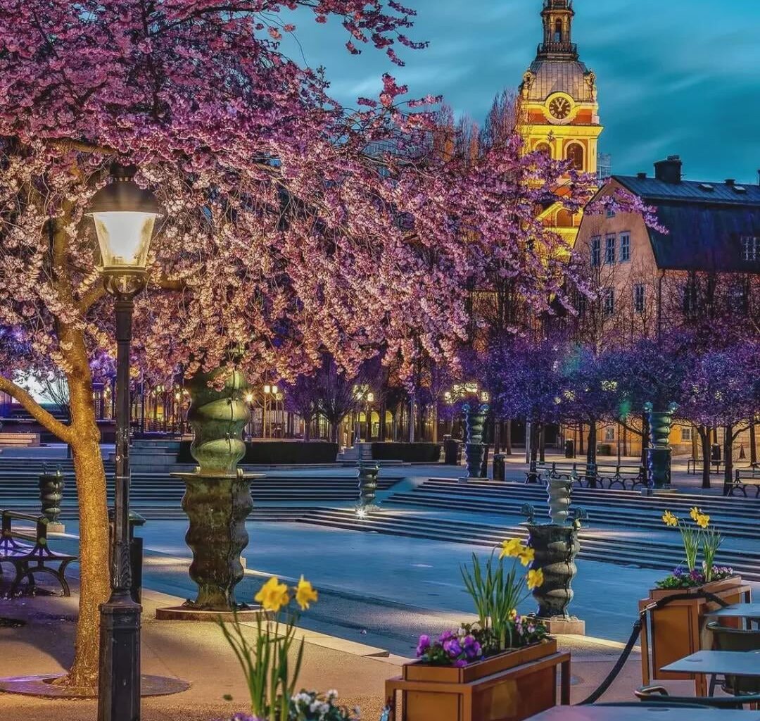 Peaceful vibes from a park in central Stockholm, Sweden