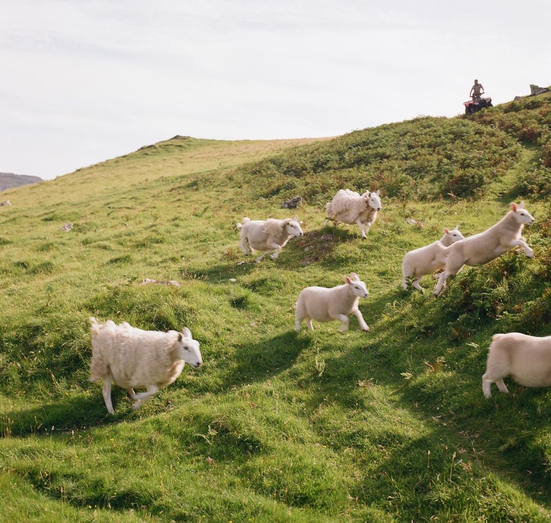 Photographs from Skye