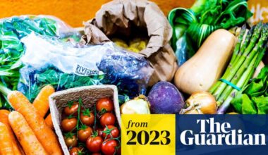 What if everyone in this sub went vegan? Do you think we could make a realistic impact?