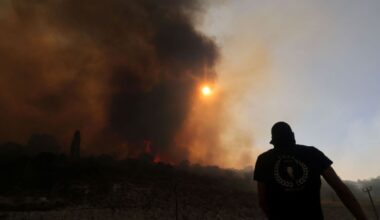 Climate Change Is Killing Greece’s Fir Forests