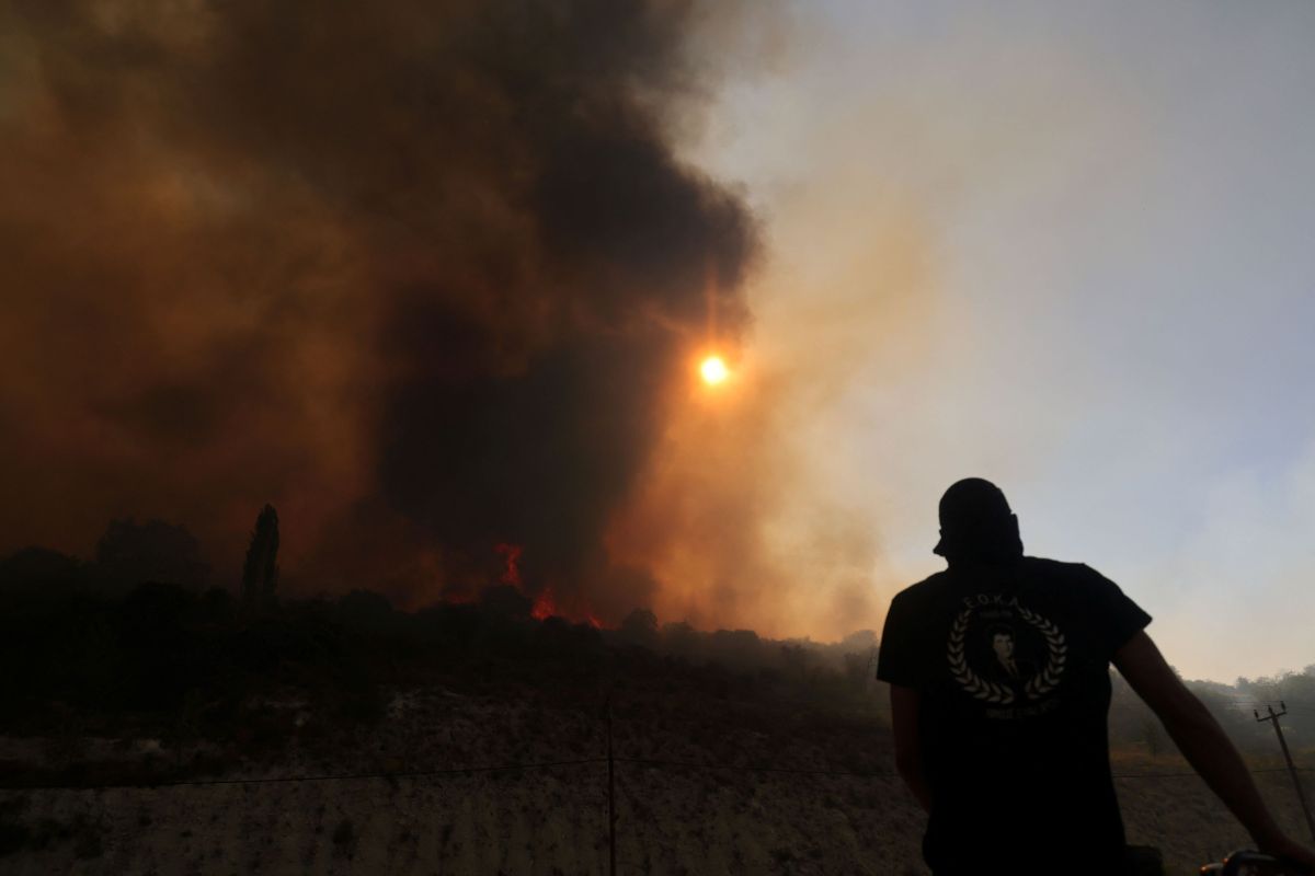Climate Change Is Killing Greece’s Fir Forests