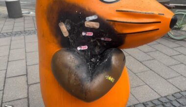 Kölner*innen haben der verletzten Maus Pflaster aufgeklebt