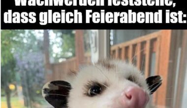 ich_iel