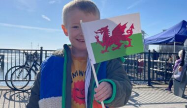 Annual Population Survey shows fall in number of Welsh speakers