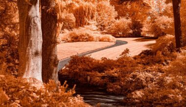 The beauty of Bodnant Garden in 590nm infrared
