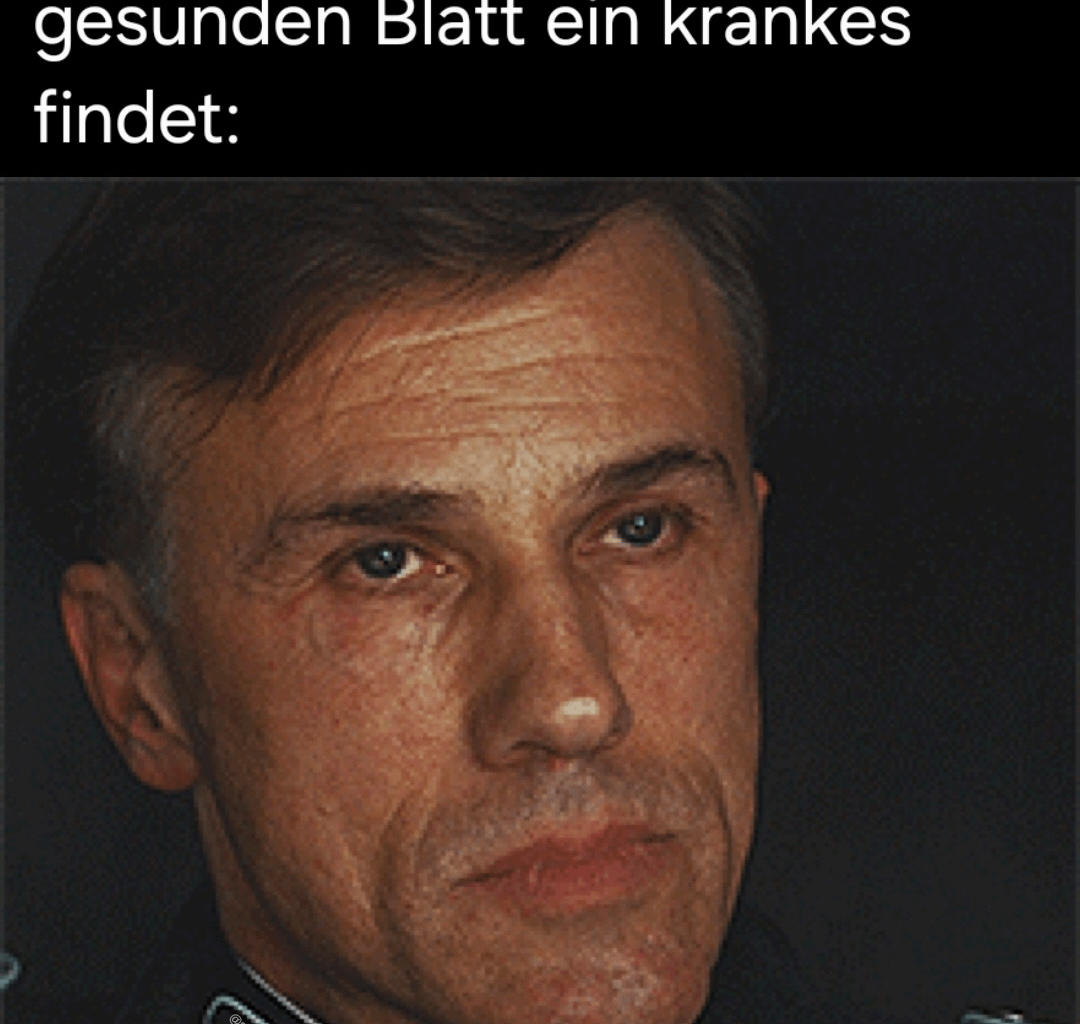 ich🌱🍄iel