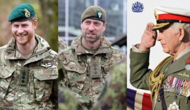 King Charles, Prince William's emotional tribute leaves Harry in tears