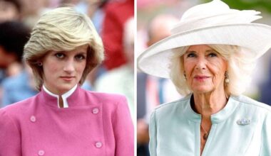 Queen Camilla still holds grudge against King Charles' first wife Diana?